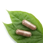 herberx_leaf_140